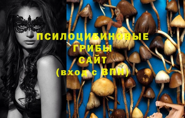 гидра Гусь-Хрустальный