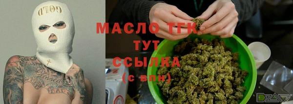 гидра Гусь-Хрустальный