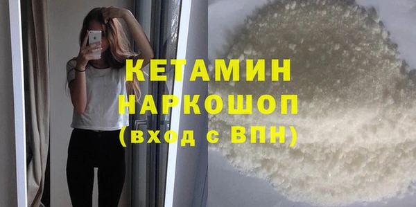 шишки Гусиноозёрск