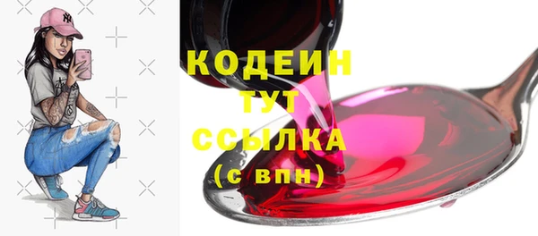 гидра Гусь-Хрустальный