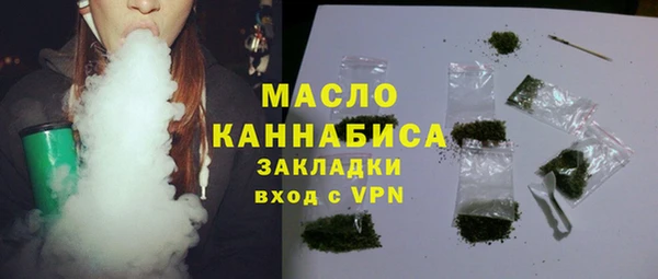 шишки Гусиноозёрск