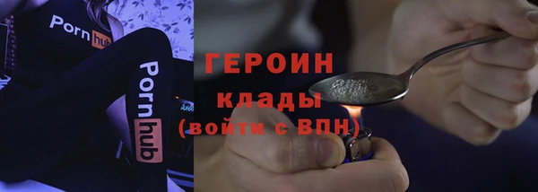 шишки Гусиноозёрск