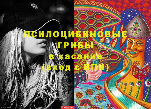 гидра Гусь-Хрустальный