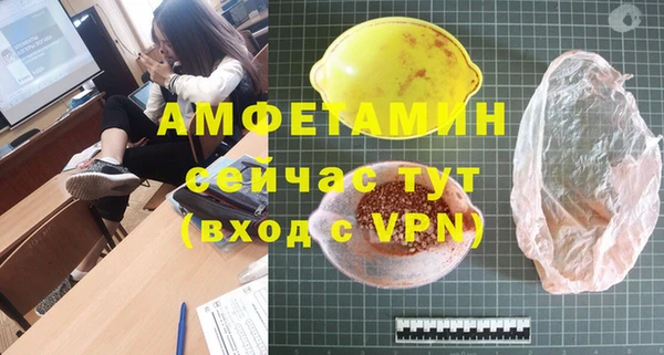шишки Гусиноозёрск