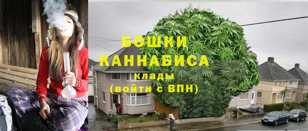 шишки Гусиноозёрск
