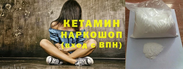 шишки Гусиноозёрск