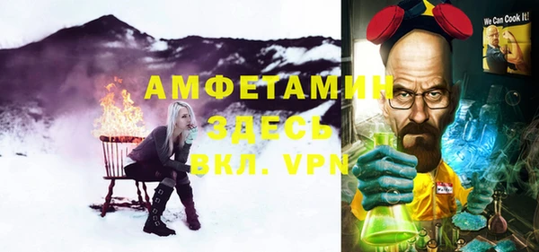 шишки Гусиноозёрск