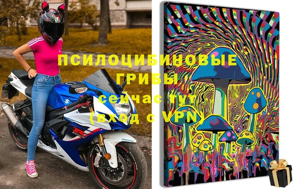 соль ск Гусев