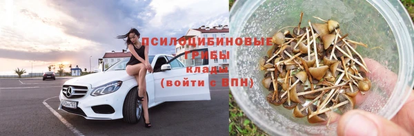 шишки Гусиноозёрск