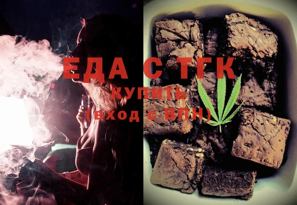 шишки Гусиноозёрск