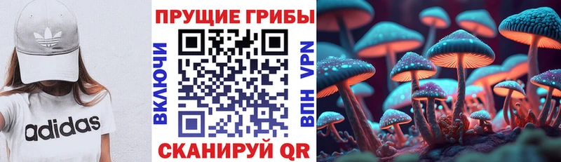Купить  Кандалакша  Псилоцибиновые грибы ЛСД 